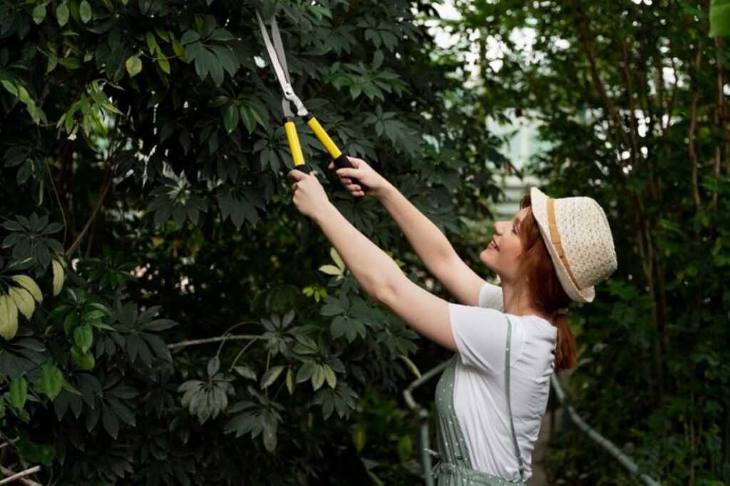 Proper tree pruning