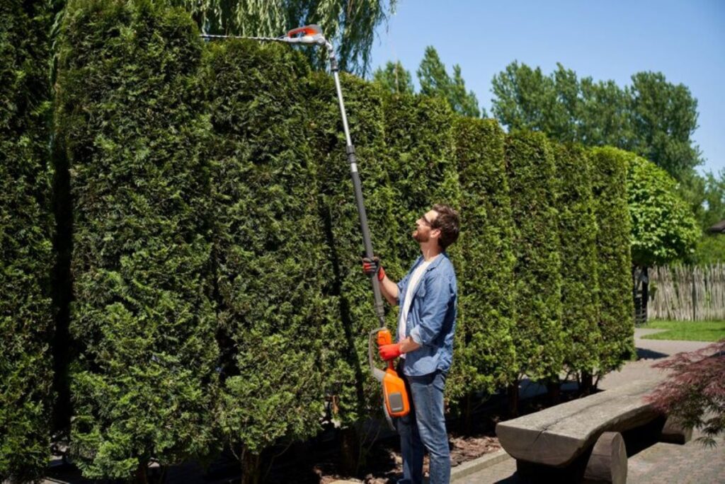 hedge maintenance